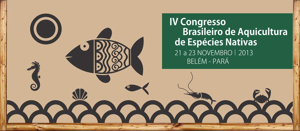 IV congreso Brasileño 2013