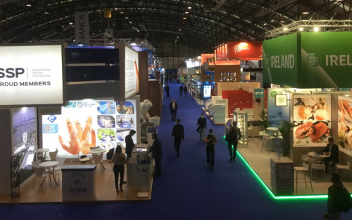 Congreso Internacional de Nutrición y Salud FAO / CONXEMAR | INFOPESCA