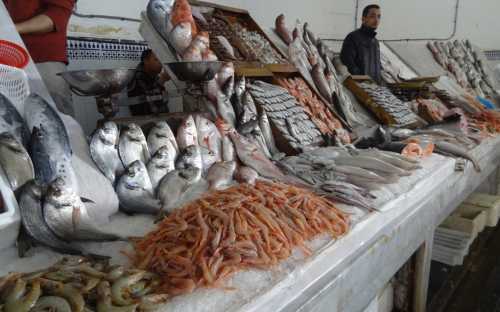 Pescado muy fresco en el mercado central de Casablanca