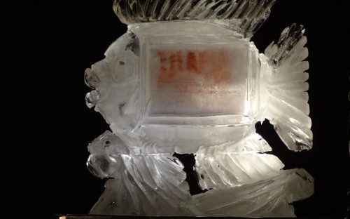 la Tilapia de hielo