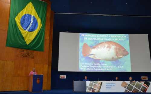 La tilapia en agua salada - la experiencia mexicana de Luis Fernando Castillo Campo