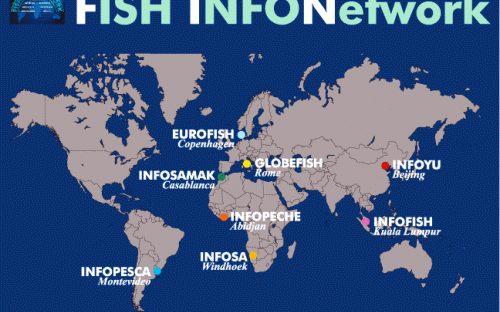 Las organizaciones INFO en los diversos continentes