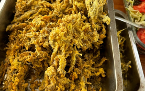  alga1